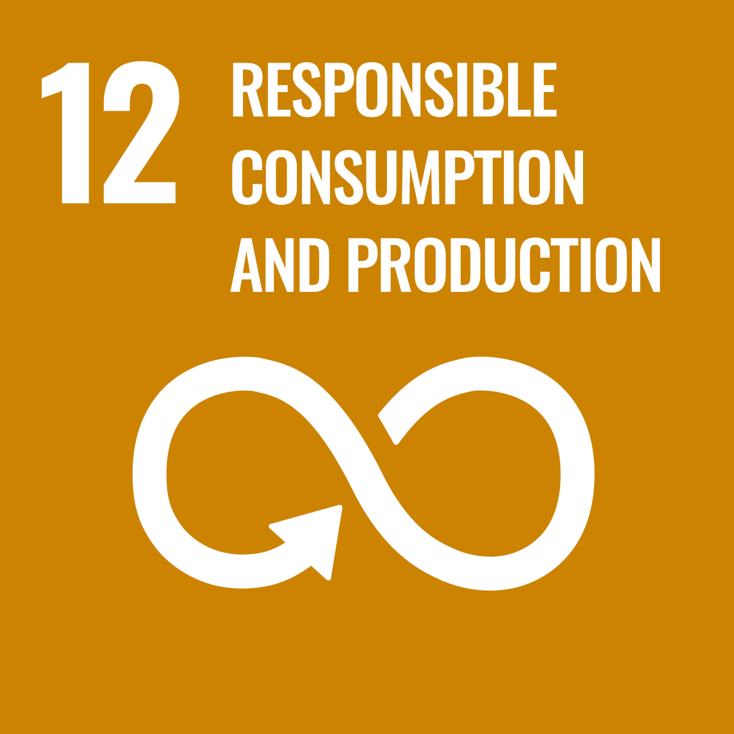12 Responsible Consumption and Production 12 Responsible Consumption and Production